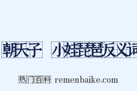 朝天子·小娃琵琶反义词是什么意思的图片